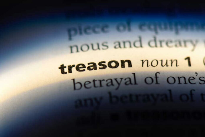 1155306532 Treason highlighted in a dictionary definition