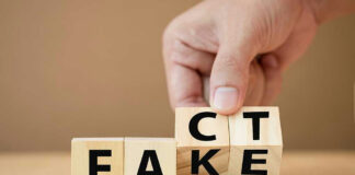 Fact and Fake written on wooden blocks