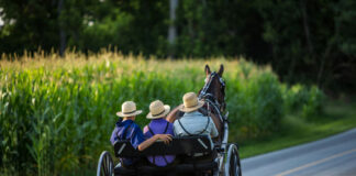 Horse-drawn carriage with three people in rural setting.