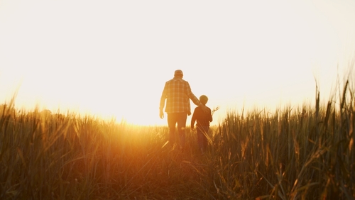 A father and son walking hand in hand through a field during sunset