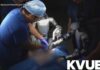 The First Humanoid Robot Surgery Is Here Humanoid robots tested to help surgeons at UC San Diego