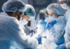 A 6-year-old Lab Death Buried In Silence surgeons performing an operation