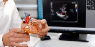 Healthcare professional holding a 3D heart model in front of a computer screen